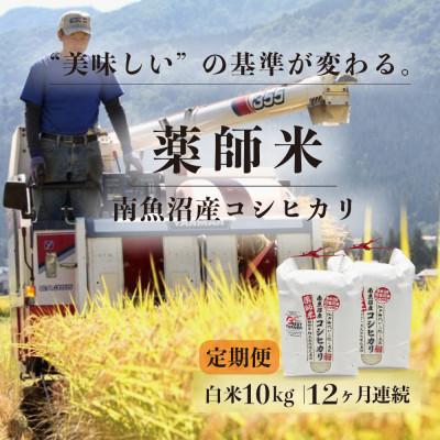ふるさと納税 南魚沼市 【毎月定期便】【南魚沼市食味コンテスト優秀賞】南魚沼産コシヒカリ 白米10kg(5kg×2)全12回