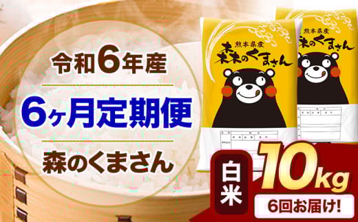 【6ヶ月定期便】令和6年産 白米  森のくまさん 10kg 5kg×2袋  《お申込み月の翌月から出荷開始》 熊本県産 白米 精米 米 こめ コメ お米 kome