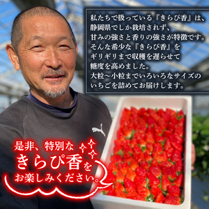 いちご 予約受付 きらぴ香 800 g いちご いちご いちご いちご いちご ふるなび 鈴木農園