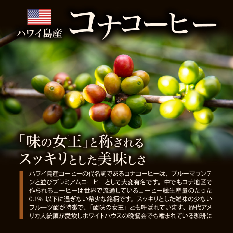 ブルーマウンテン100g＆ハワイコナコーヒー100g 定期便6ヶ月コース 豆コース_Ec108-B