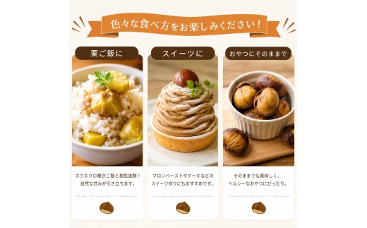 【 訳あり】 栗 1kg 国産 生栗 L LLサイズ 品種無選別 家庭用 訳あり栗 秋の味覚 栗ご飯 渋皮煮 甘露煮 焼き栗 くり クリ お菓子作り 旬