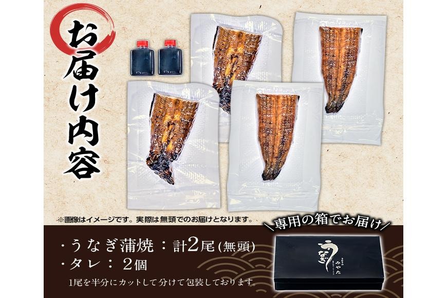 国産 うなぎ蒲焼 無頭(計2尾) ウナギ 鰻 蒲焼き うな重 ひつまぶし タレ 魚 冷凍 大分県 佐伯市【DH259】【(株)ネクサ】