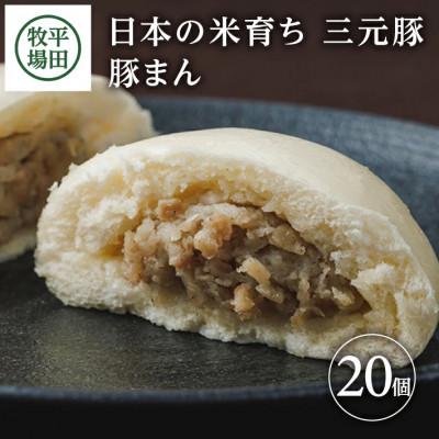 ふるさと納税 酒田市 日本の米育ち三元豚豚まん(100g)20個