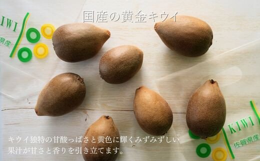 画像はイメージです。