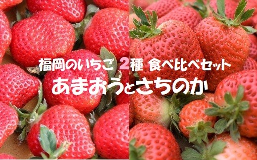 
                  【2027年1月発送開始】いちご2種食べ比べセット「あまおう」「さちのか」各2パック計1,160g★あんずの里[H0073]
                