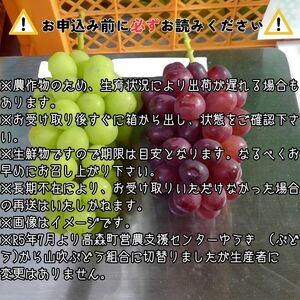 クイーンルージュTM＆シャインマスカットぶどう2種セット約1kg＜2025年9月中旬より発送＞