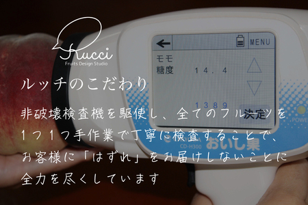 【糖度16度保証付】一宮の大玉桃 3玉 約1.1kg　全国桃選手権『銀賞』受賞桃 FN-Limited 104-067-FN | ＜数量限定＞美味しいフルーツだけをお届けします【ルッチ Rucci】産