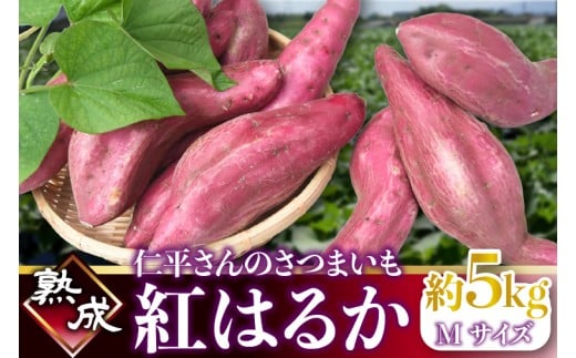 【2026年1月より順次発送】仁平さんの熟成紅はるか 約5kg(Mサイズ・洗い)｜さつまいも サツマイモ さつま芋 いも 紅はるか 熟成さつまいも 熟成 茨城県 行方市(CH-3)