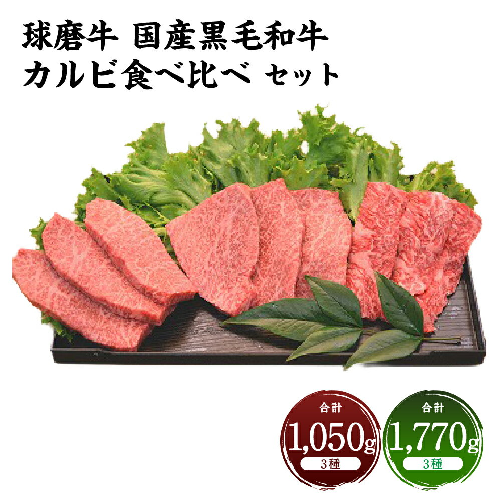 【ふるさと納税】＜選べる内容量＞球磨牛 国産黒毛和牛カルビ食べ比べセット 計1.05kg / 計1.77kg 3種セット 特選カルビ・上カルビ・カルビ 黒毛和牛 牛肉 お肉 霜降り サシ 赤身 詰め合わせ 冷凍 熊本県産 国産 九州 熊本県 あさぎり町 送料無料
