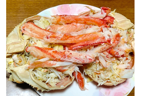 【22023】鳥取網代港【ブランドタグ付】浜茹で！極上松葉ガニ（大）800g【さかなや新鮮組】