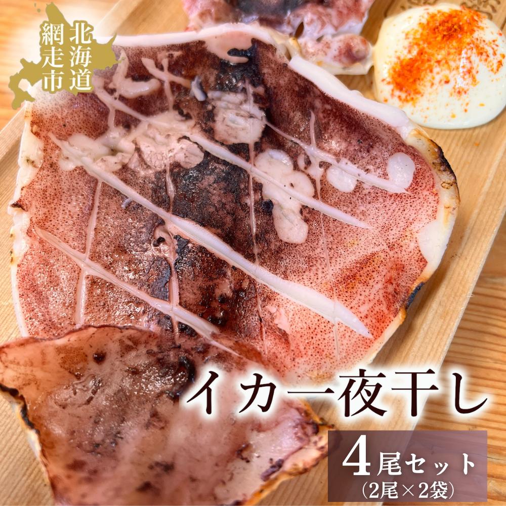 炉端で人気のイカ一夜干し4尾セット ABAO2195