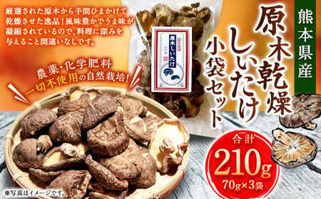 原木乾燥しいたけ 小袋セット 210g（70g×3袋） 乾燥椎茸 椎茸 しいたけ きのこ 野菜 セット 熊本県 常温