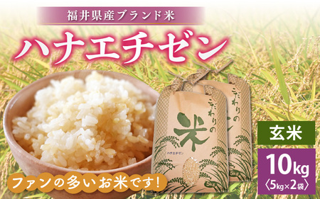 【新米】 令和7年産 ハナエチゼン 10kg 福井県産【玄米】【お米 はなえちぜん 華越前 10キロ】 [e30-b010]