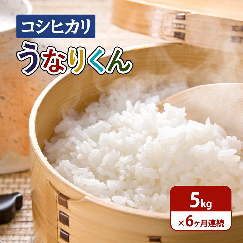 【ふるさと納税】米【令和7年度産】6ヶ月連続お届け「コシヒカリ」うなりくん5kg 白米 定期便 精米 米 こしひかり 成田市 千葉県