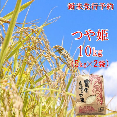 【ふるさと納税】【令和8年産新米 先行予約】つや姫 精米 10kg　佐藤【1746876】