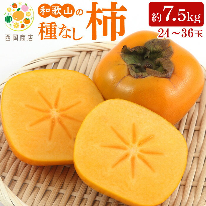 【ふるさと納税】【2026年発送】JAわかやま(紀北地域)のたねなし柿 秀品 約7.5Kg L～4Lサイズ | 九度山町 高品質 種なし柿 大玉 人気 おすすめ 柿 フルーツ 果物 ギフト お取り寄せ 送料無料 ふるさと納税
