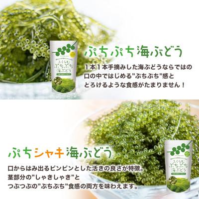 ふるさと納税 糸満市 「ふくらむぷちぷち海ぶどう」とシークワーサー入り海ぶどうのたれセット 沖縄県 糸満市 |  | 02