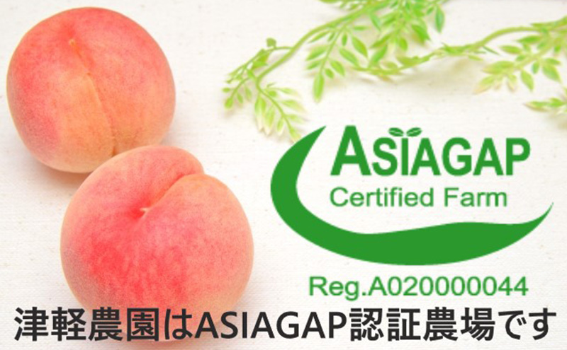 【あふれる果汁 まどか】家庭用 約1.5kg 5玉前後　ASIAGAP認証農場 津軽農園 採れたて 農家直送