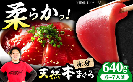 たね熟天然本まぐろ赤身(640g)[AOCE005]まぐろ