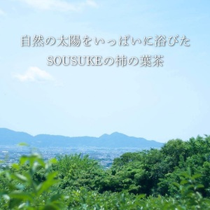 寿司 柿の葉茶 薪火焙煎深煎り 2袋 [BRAK019]