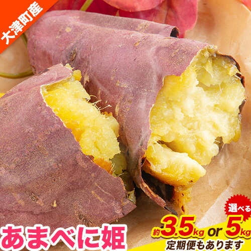 【ふるさと納税】熊本県 大津町産 あまべに姫 (紅はるか) 約 3.5kg 約 5kg ガブレス《12月上旬-3月末頃出荷》さつまいも 芋 紫芋 高糖度