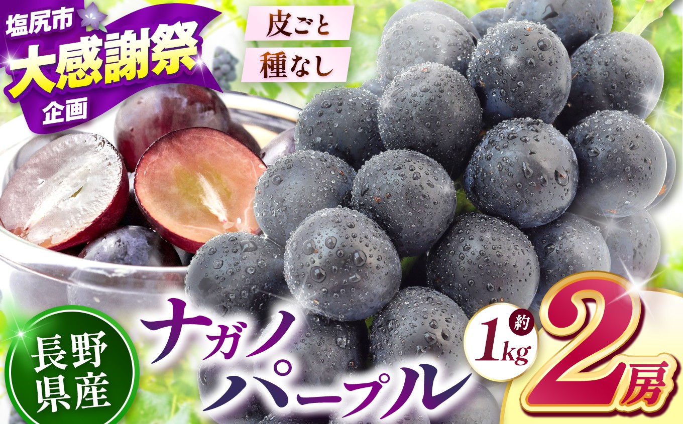 
                  【2026年先行予約】 ナガノパープル（2房）【9月上旬～10月下旬にかけて順次発送予定】 | 先行受付 果物 くだもの フルーツ 葡萄 ぶどう ブドウ ナガノ パープル 2房 長野県 塩尻市
                