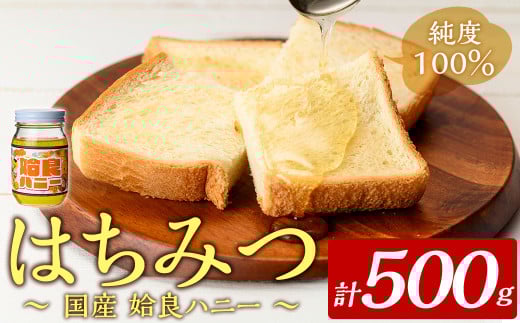 a1002-B 《期間限定！2025年4月下旬～10月中旬の間に発送予定》姶良ハニー(500g)【原電設工業】姶良市 国産 ハチミツ はちみつ 蜂蜜 百花蜜 蜜 常温 常温保存