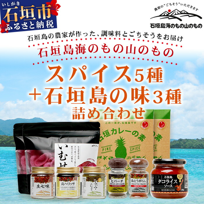 石垣島海のもの山のものスパイス&オリジナル詰め合わせセットB　UY-2