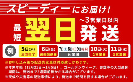 最高5等級 飛騨牛 厚切りロースステーキ 300g 300g×1枚 牛肉 和牛 肉 ロース ステーキ 東白川村 岐阜 贅沢 霜降り A5 5等級 厚切り 養老ミート