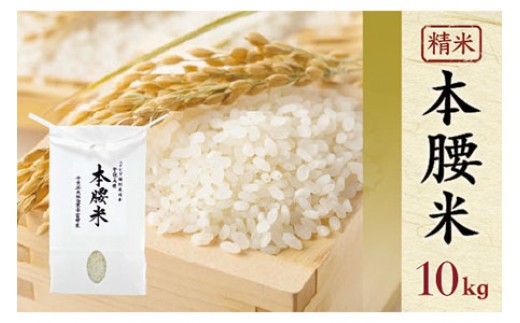
                  令和7年産 本腰米10kg 精米 千葉県産コシヒカリ 農薬不使用 【 ふるさと納税 お米 10kg 千葉県産 大網白里市 コシヒカリ 農薬不使用 米 精米 こめ 送料無料 】F003
                
