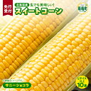 【ふるさと納税】【令和6年産先行予約】2024年発送 生でも美味しい スイートコーン「サニーショコラ」とうもろこし 野菜 コーン 産地直送 とうきび お取り寄せ 北海道 雨竜町 送料無料