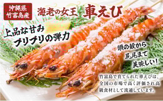 冷凍車えび 500g 竹富島産 エビ 500g【冷凍車えび 】