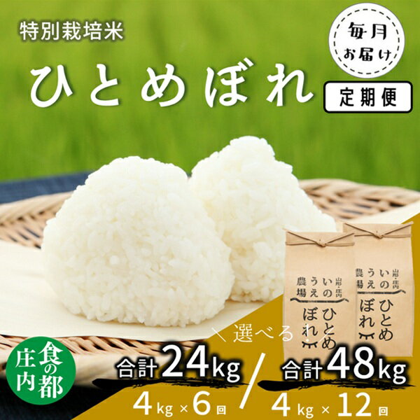 【ふるさと納税】お届け回数が選べる！食の都庄内　井上農場の特別栽培米 ひとめぼれ 4kg【6回または12回】（産直出前便）