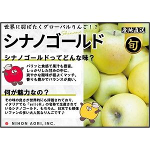 【26年1月出荷予定】平均糖度13度以上! シナノゴールド 約5kg おもてなし用【配送不可地域：離島・沖縄県】【1612920】