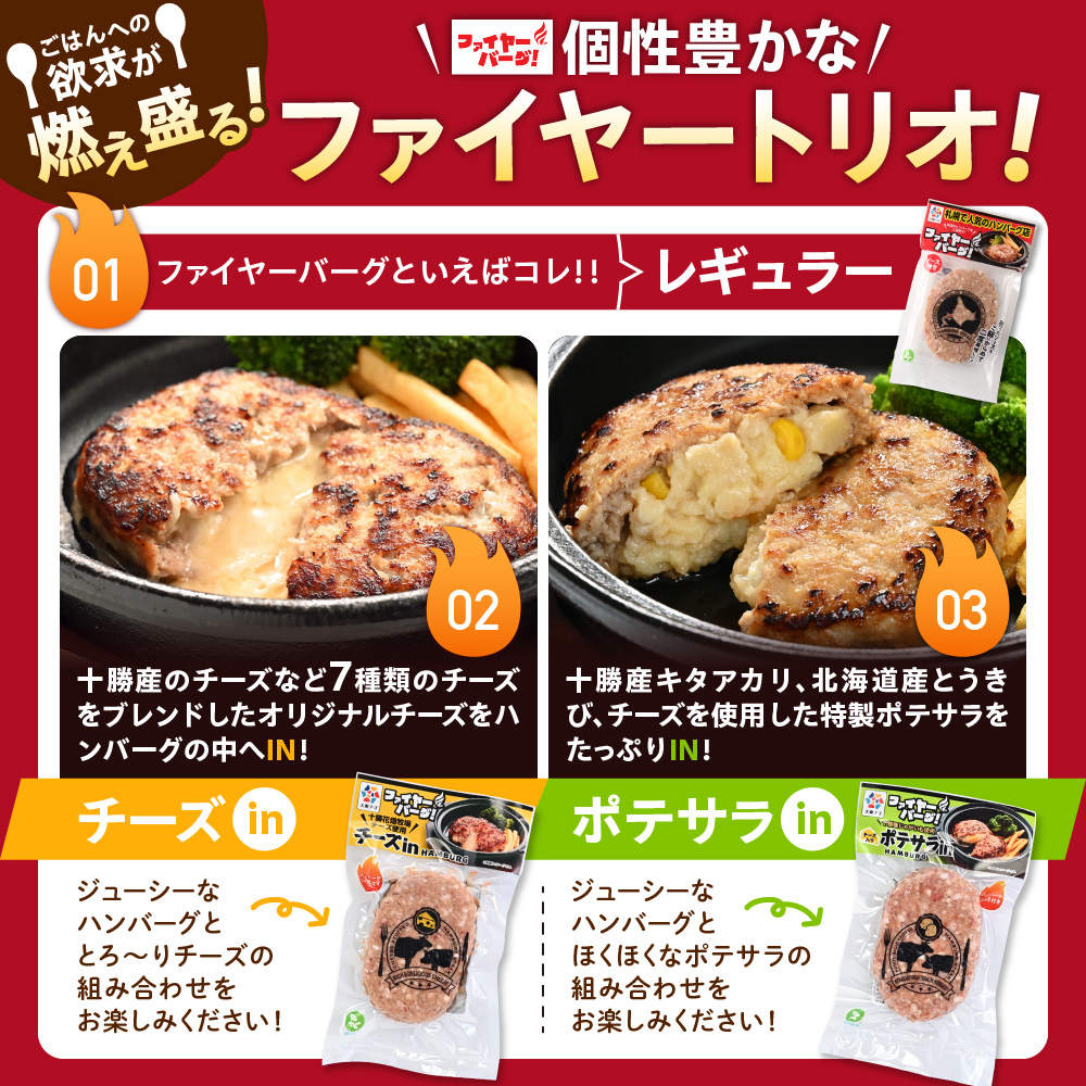 【定期便4回】ファイヤーバーグ満喫定期便_is030-024-999
