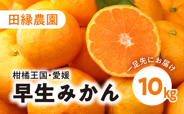 
            【数量限定】田縁農園の早生みかん（生果）10kg ｜ 柑橘 みかん ミカン フルーツ 果物 愛媛　※離島への配送不可　※2024年11月中旬頃より順次発送予定
          