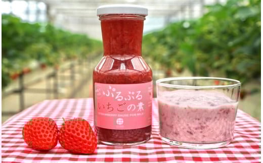完熟イチゴ の いちごミルク の素 ＆ ぷるぷる 苺の素  セット ジャム ブレンド 