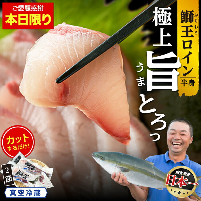 【ふるさと納税】【5/25限定ご愛顧感謝寄付金額】鰤王新物 17000円→15000円 【切って盛るだけ】 ぶりの王様「 鰤王 新物 」 ロイン 2節 半身 切り身 真空パック 届いてすぐに食べれる 産地直送 長島町 鰤 冷蔵 ふるさと納税 ぶり 刺身 ぶりしゃぶ たたき 【JFA】jfa-1484