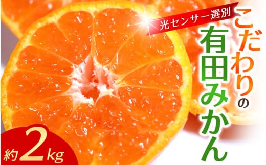 【12月発送】 こだわりの有田みかん 約2kg【ご家庭用】光センサー選別品 農家直送品 ※北海道・沖縄・離島配送不可 / みかん 有田みかん 温州みかん 柑橘 果物 くだもの フルーツ 有田 和歌山 和歌山県産 産地直送 【nuk159-12A】