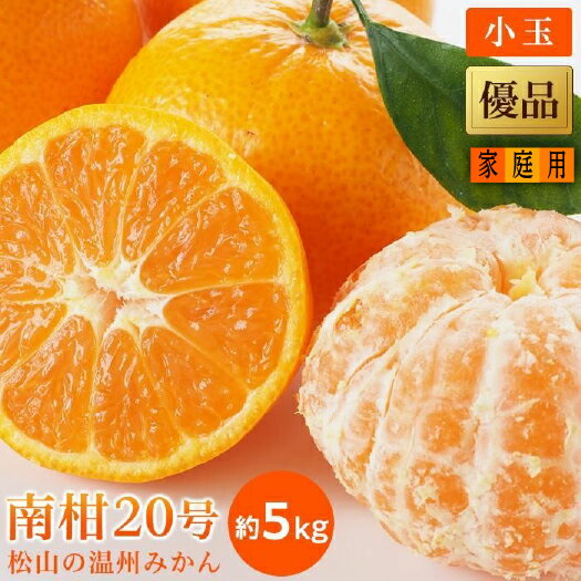 【ふるさと納税】 【先行予約】【2025年12月中旬から発送予定】温州 みかん 南柑 20号 家庭用(優品) 小玉 約 5kg | 愛媛 みかん 先行予約 蜜柑 柑橘 果物 くだもの フルーツ お取り寄せ グルメ 期間限定 数量限定 人気 おすすめ 愛媛県 松山市