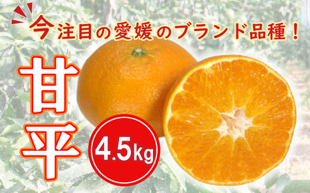 先行予約 数量限定 甘平 4.5kg みかん 前田ファーム みかん 蜜柑 柑橘 みかん 愛媛県 愛南町 みかん 発送期間: 2024年2月1日～3月1日