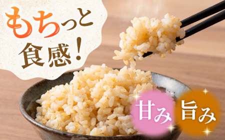 合鴨玄米 5kg×2 計10kg 【あいがもん倶楽部】[ZAR029]