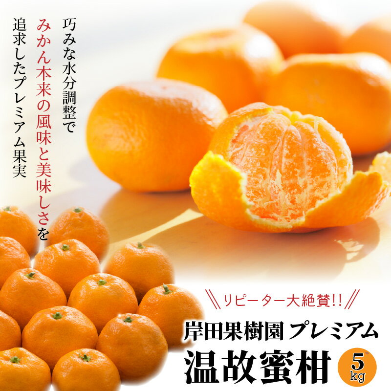 【ふるさと納税】岸田果樹園プレミアム「温故蜜柑」約5kg 家庭用 みかん ミカン 温州みかん