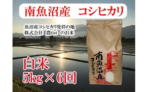 【令和7年産】【定期便 南魚沼産】コシヒカリ 白米5kg×6回