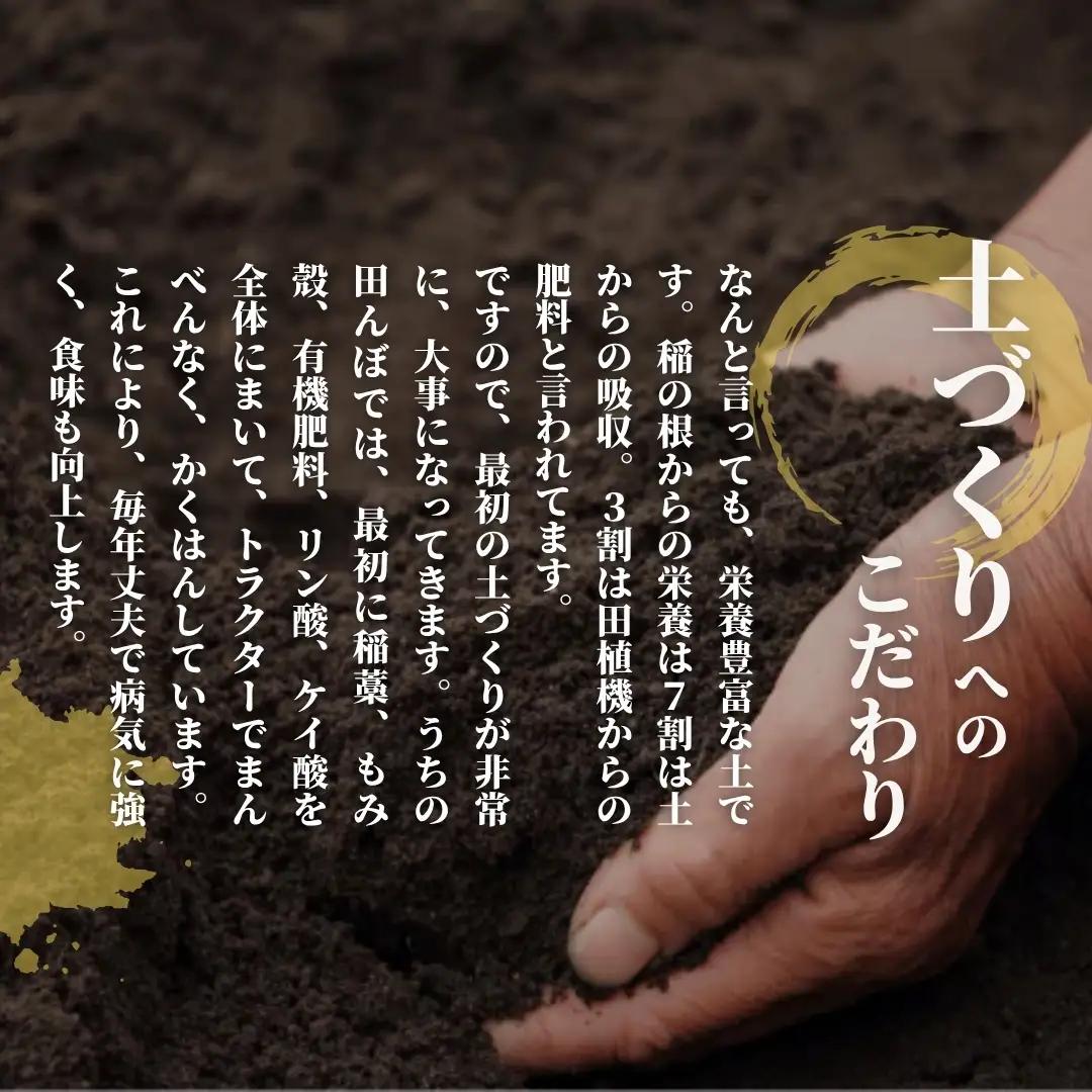 【定期便3回】令和8年産 新米 ゆきん子舞 10kg×3回(計30kg) お米ソムリエ 先行予約 | 新潟県産 米 五泉市