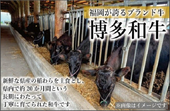 【セット】博多和牛 A5ランク ヒレステーキギフトセット 約200g×1枚