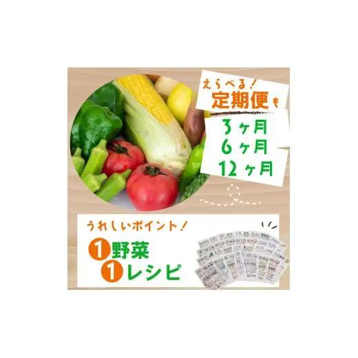 野菜詰め合わせ 定期便 7品~8品 ｜ 野菜詰め合わせ 野菜セット 野菜定期便 野菜定期便 野菜定期便 定期便 定期便 高知県 NPO22000