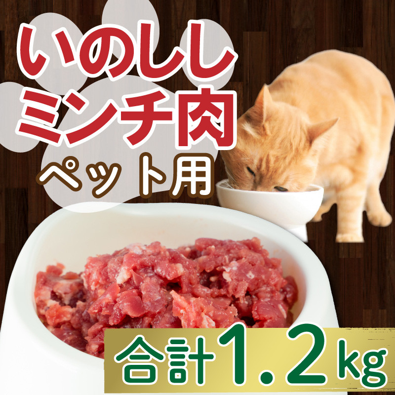 
ジビエ イノシシ 猪 ミンチ 肉 ペット 用 100g × 12パック 1.2kg 小分け 猫 ねこ 犬 いぬ 肉 1200g 10000円 冷凍 真空 パック 国産 天然 猪肉 挽肉 ひき肉 ジビエ肉 カルシウム 低カロリー 低脂肪 高たんぱく ヘルシー コラーゲン 粗挽き 粗びき 愛南 愛媛 愛南ジビエ
