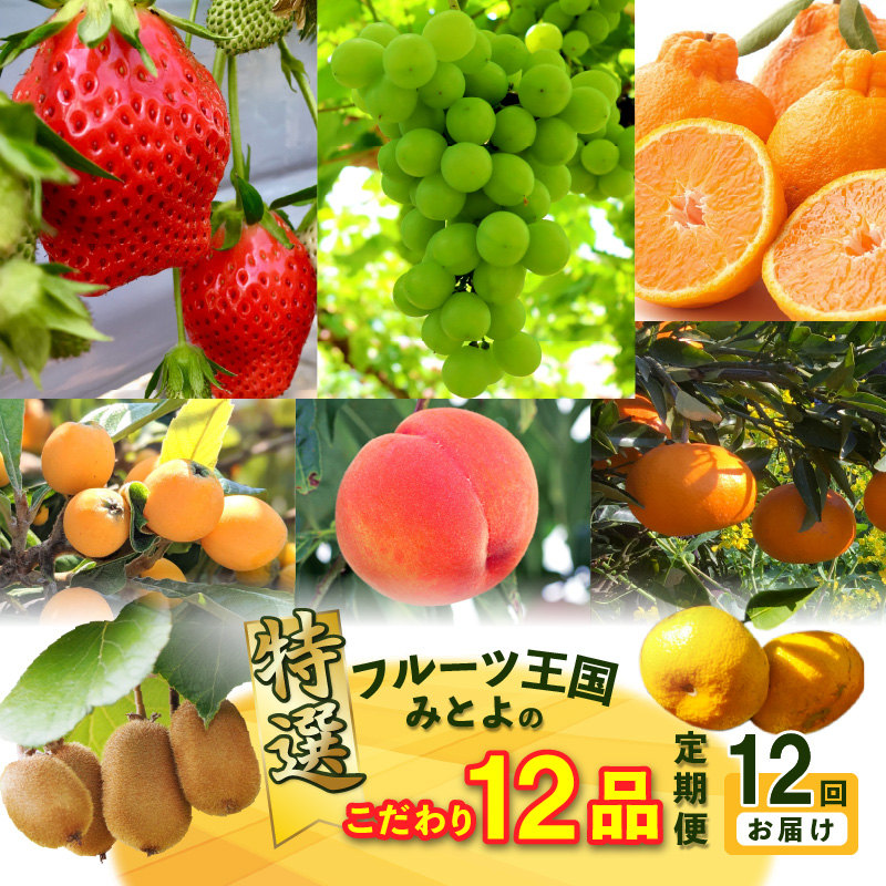 【ふるさと納税】【配送不可地域：北海道・沖縄県・離島】フルーツ 定期便 12回 特選 こだわり 12品 果物 産地直送 みかん いちご びわ マスカット 桃 キウイ シャインマスカット せとか デコポン 三豊市  フルーツ 詰め合わせ 定期 旬 新鮮 高級 詰め合せ