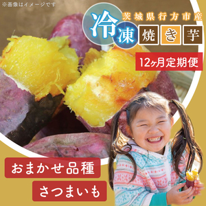 EY-40【12ヶ月定期便】熟成シルクスイート冷凍焼き芋約1kg+おまかせ品種さつまいも　合計約1.2kg